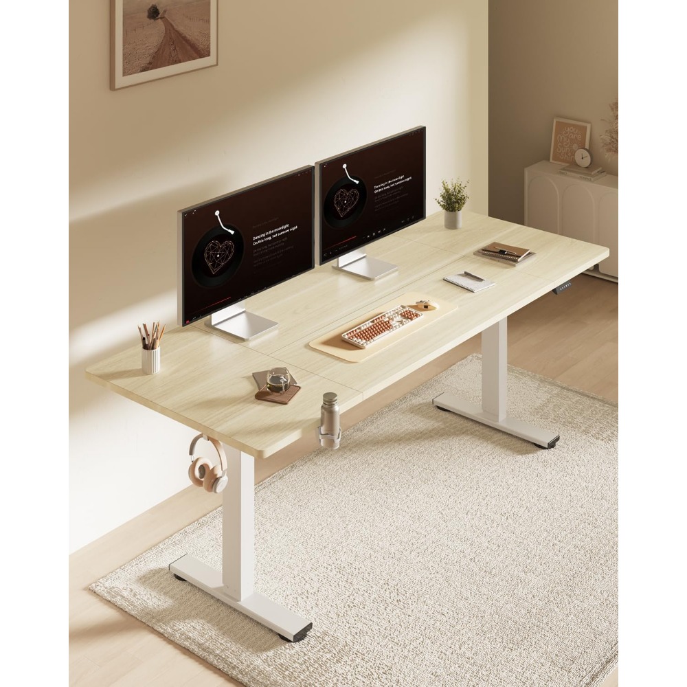 FLEXISPOT Bureau debout électr - Desk Setup For Office avis et prix